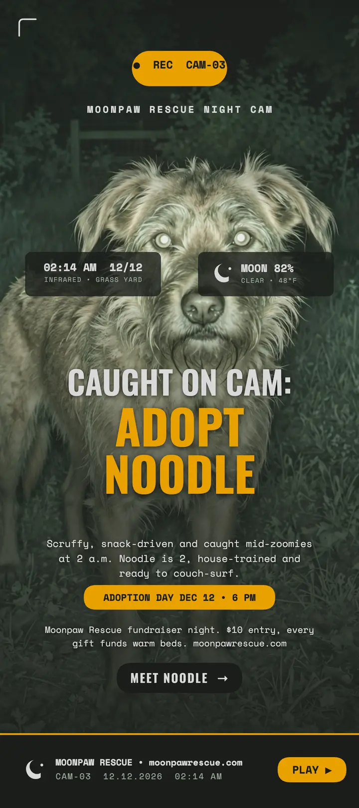 Moonpaw night-cam dog adoption rack card template