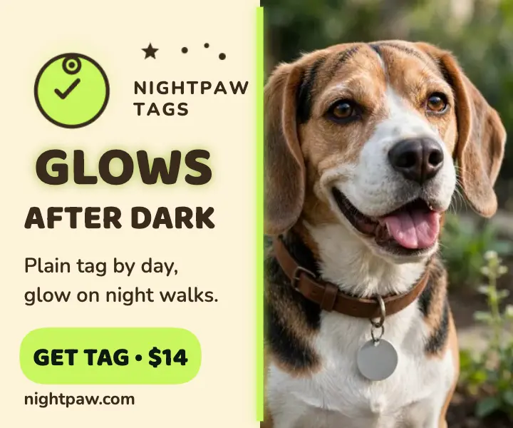 Nightpaw glow tag ad template
