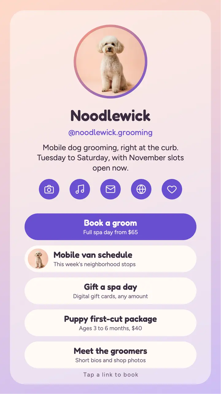 Noodlewick groomer link in bio template