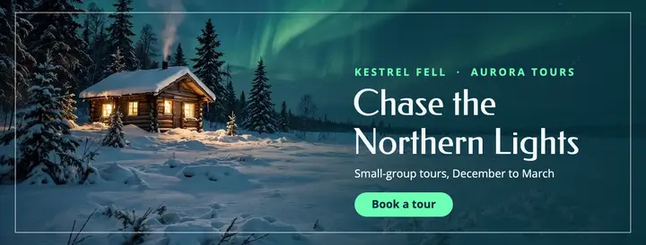 Northern lights tours cover template