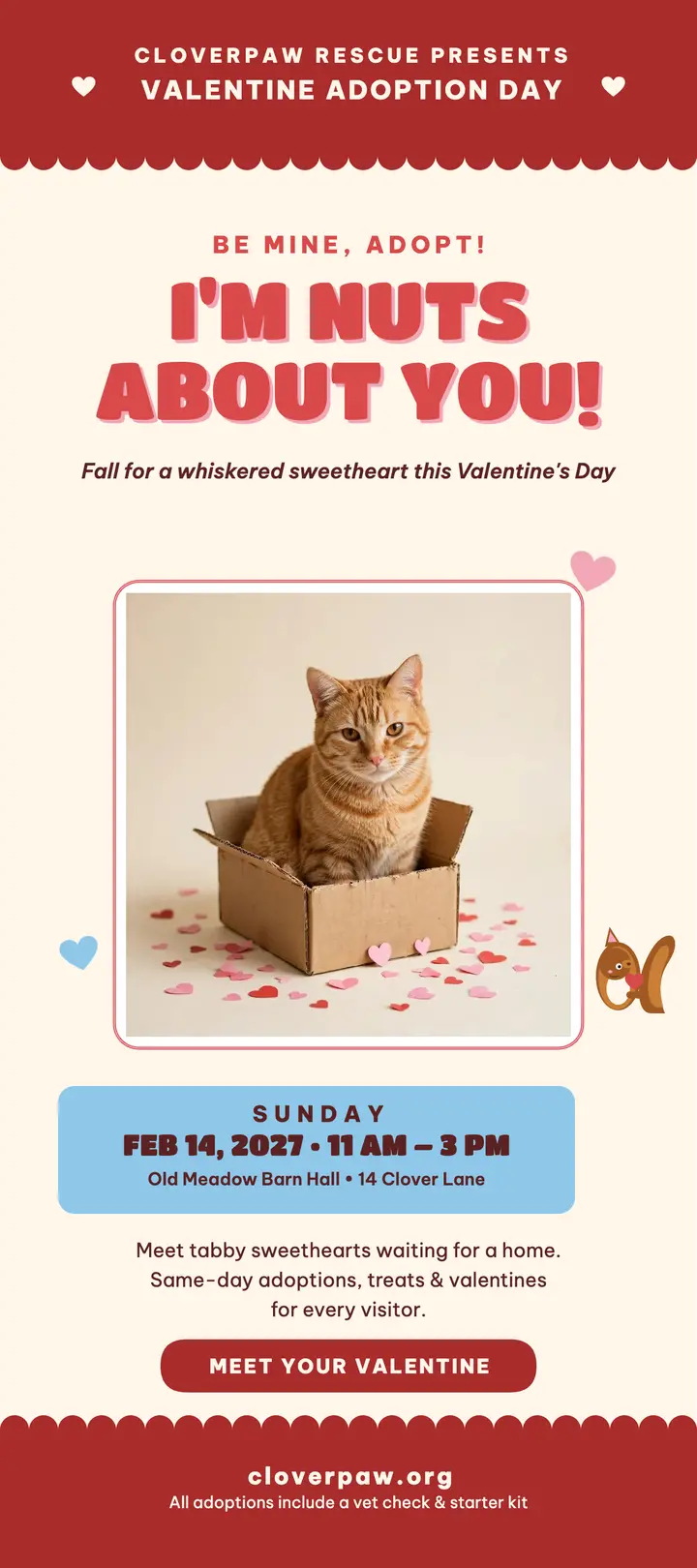 Nuts About You cat adoption rack card: pet adoption rack card template