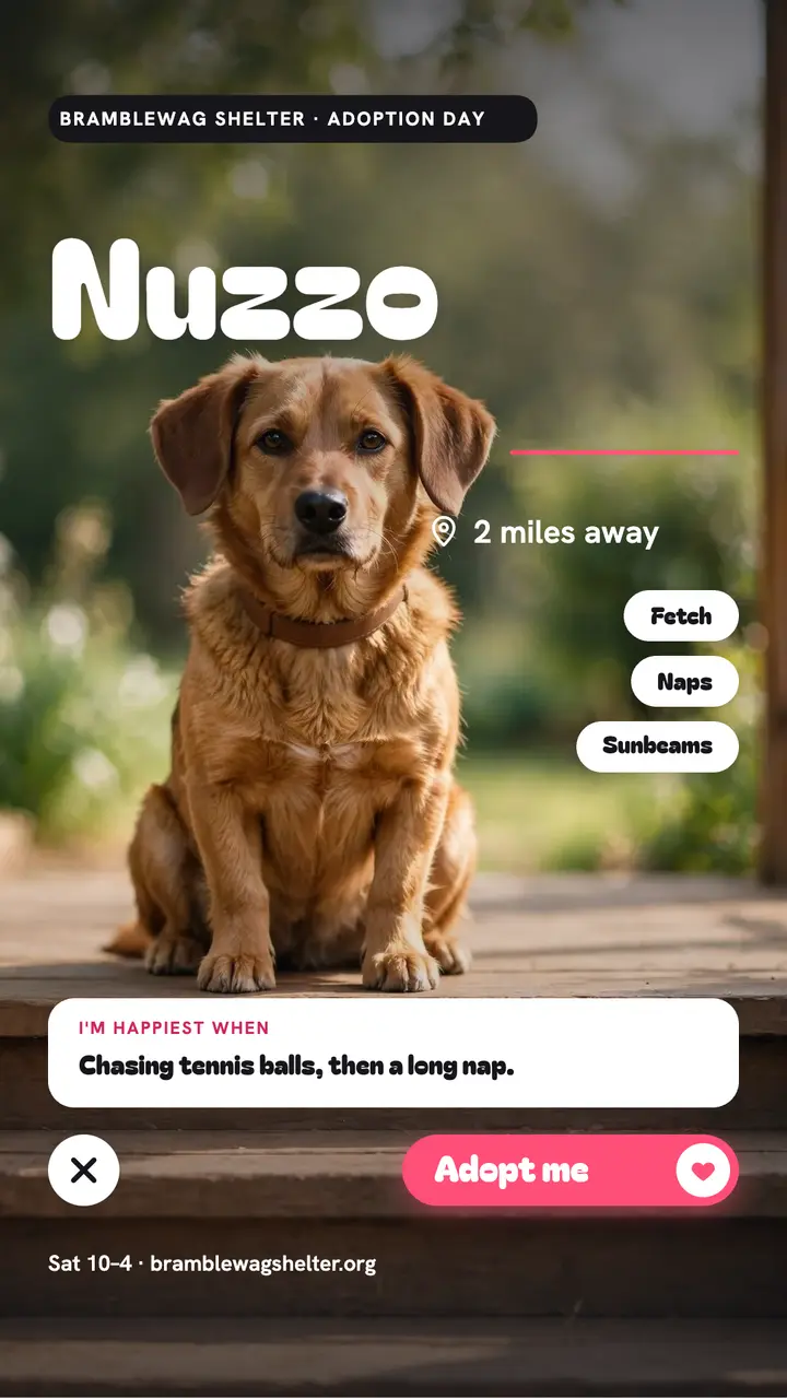 Nuzzo shelter mutt swipe-profile story template
