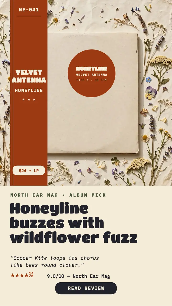 Velvet Antenna Honeyline album review story: album review story template