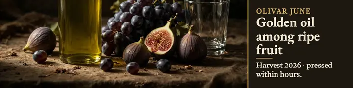 Olivar June harvest still life banner: olive oil linkedin banner template