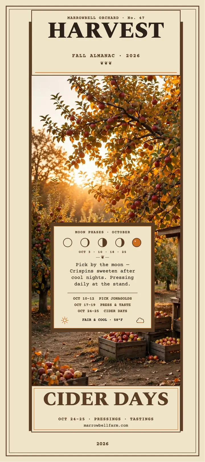 Marrowbell Orchard fall harvest rack card: fall harvest rack card template