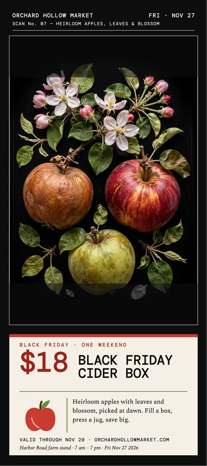 Orchard Hollow Black Friday scan sale card template