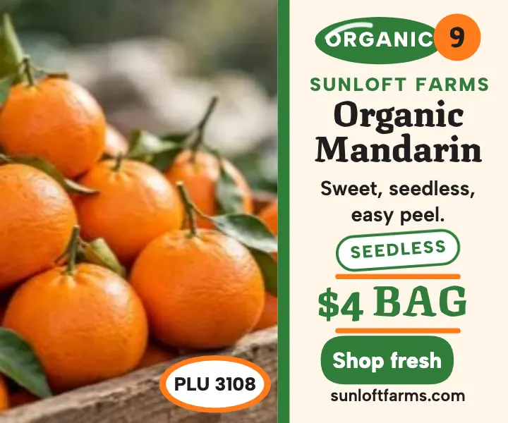 Sunloft Farms organic mandarin ad template