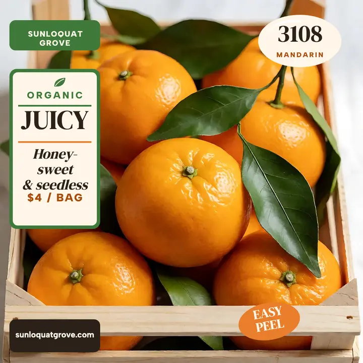 Sunloquat Grove organic mandarins post template