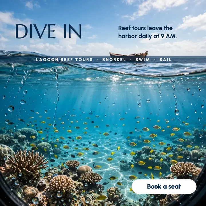 Lagoon reef snorkel trip over-under post template