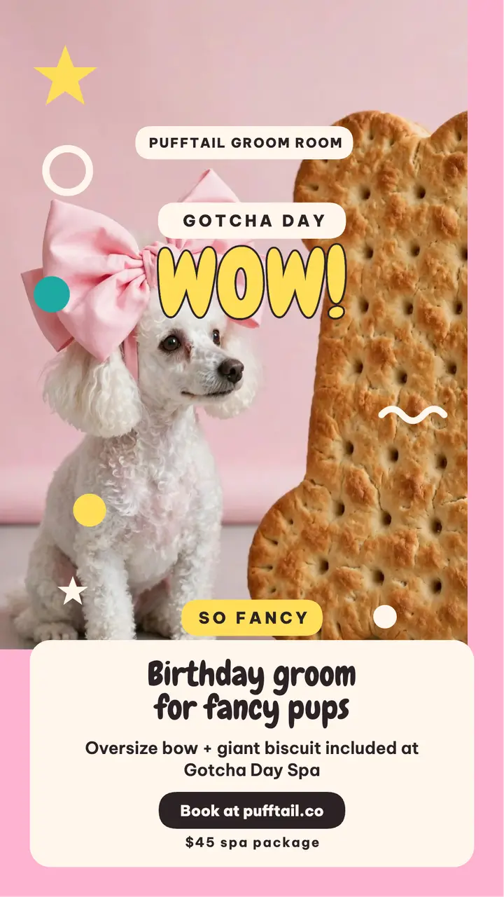 Pufftail pampered poodle grooming story template