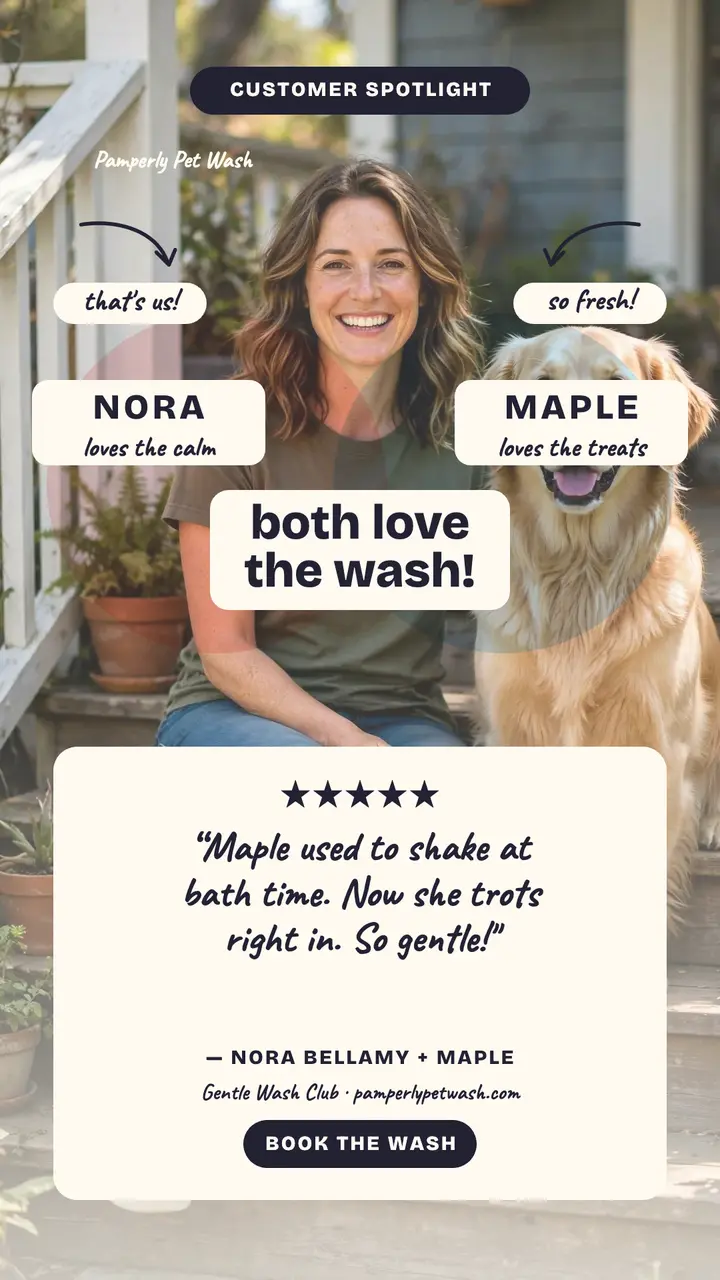 Pamperly Venn customer review story template