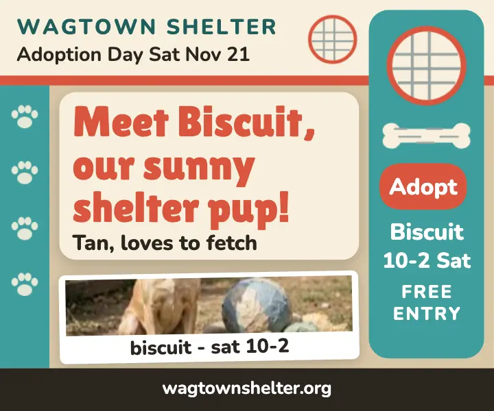 Wagtown Shelter adoption day craft ad template