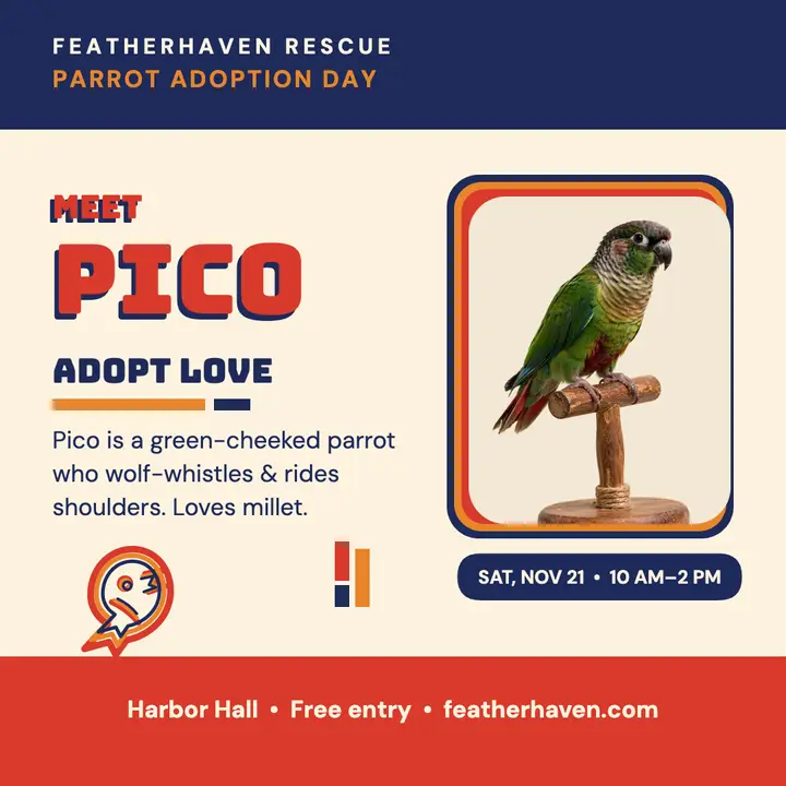 Featherhaven parrot adoption day mola post template