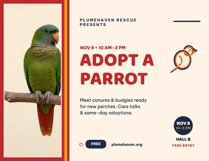 Plumehaven parrot adoption mola flyer template