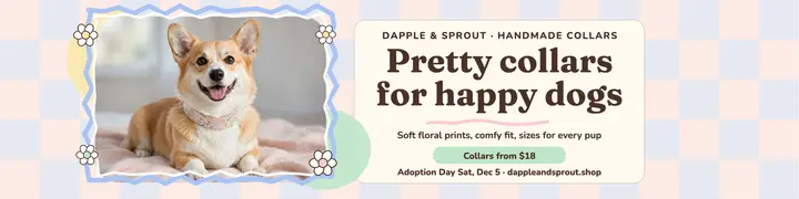Dapple and Sprout pastel collar banner template