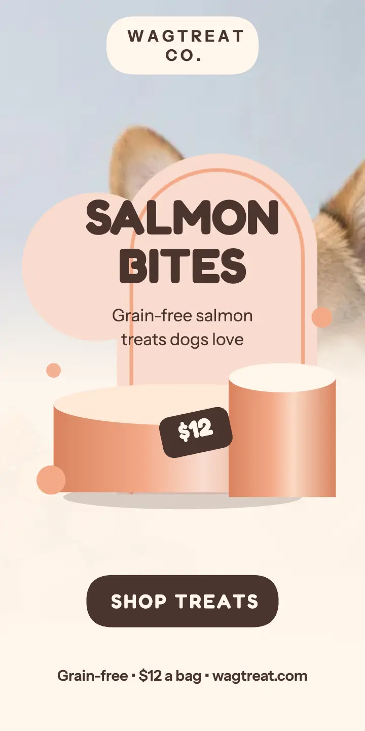 Wagtreat salmon bites pastel podium ad template