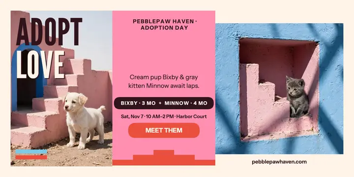 Pebblepaw Haven adoption day post template