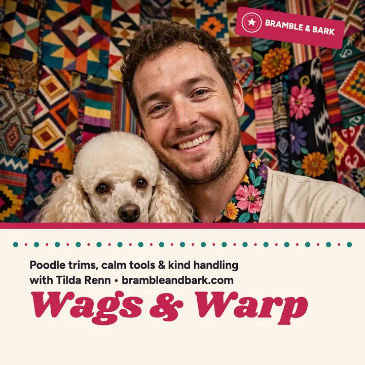 Wags and Warp poodle podcast cover: pet grooming podcast cover template