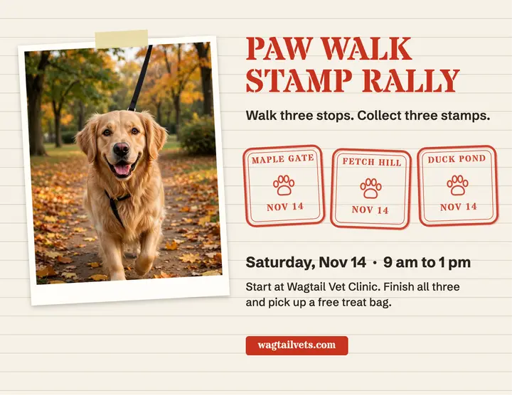 Wagtail paw walk stamp rally flyer template