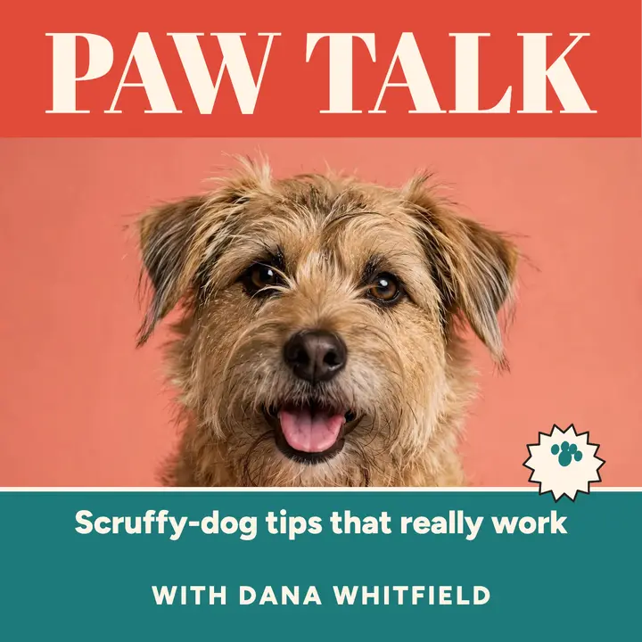 Paw Talk scruffy terrier podcast cover template
