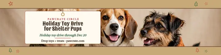 Pawcrate Circle holiday toy drive banner template