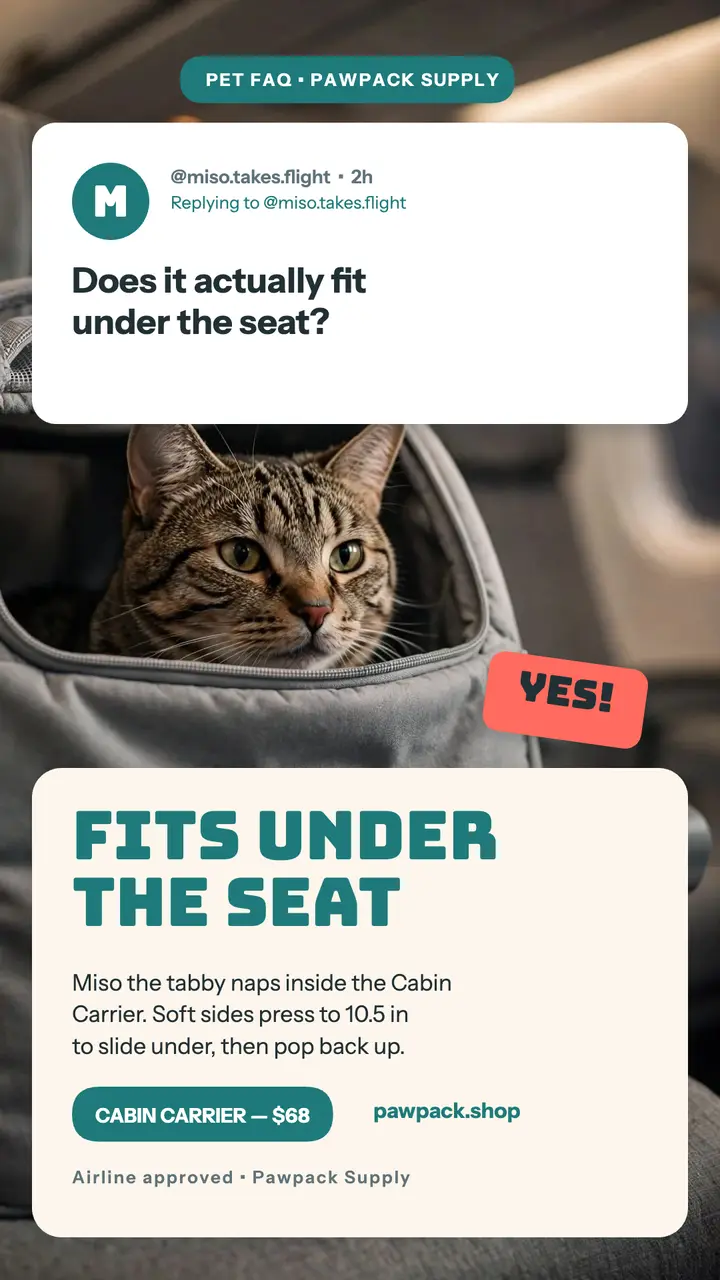 Pawpack cabin carrier FAQ story template