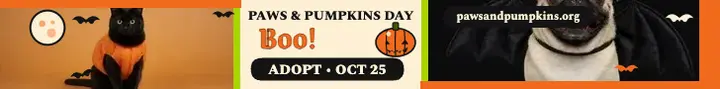 Paws and Pumpkins Halloween adoption leaderboard: pet adoption leaderboard ad template
