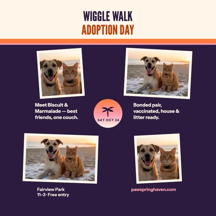 Pawspring Haven adoption day collage template