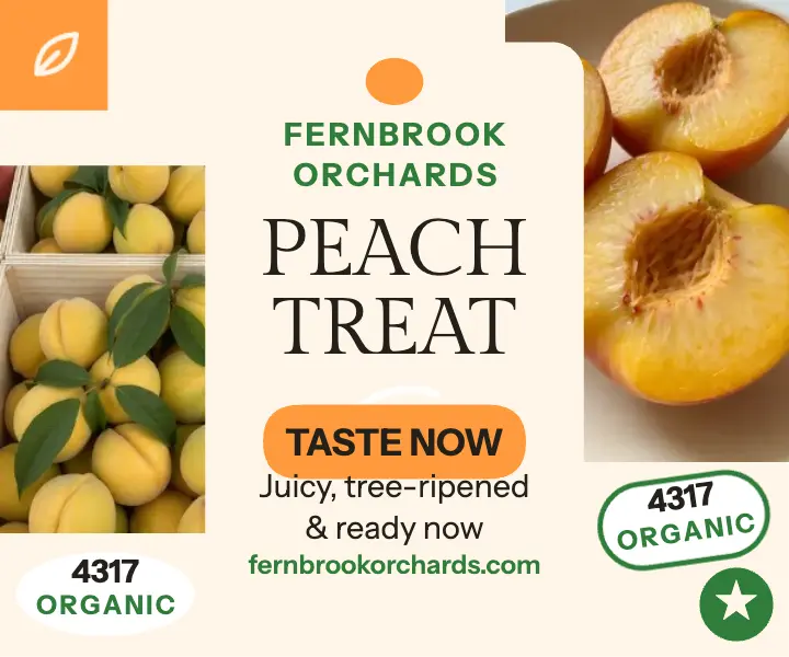 Fernbrook peach harvest rectangle ad template