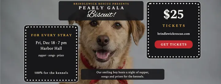 Brindlewick pearly gala dog cover template