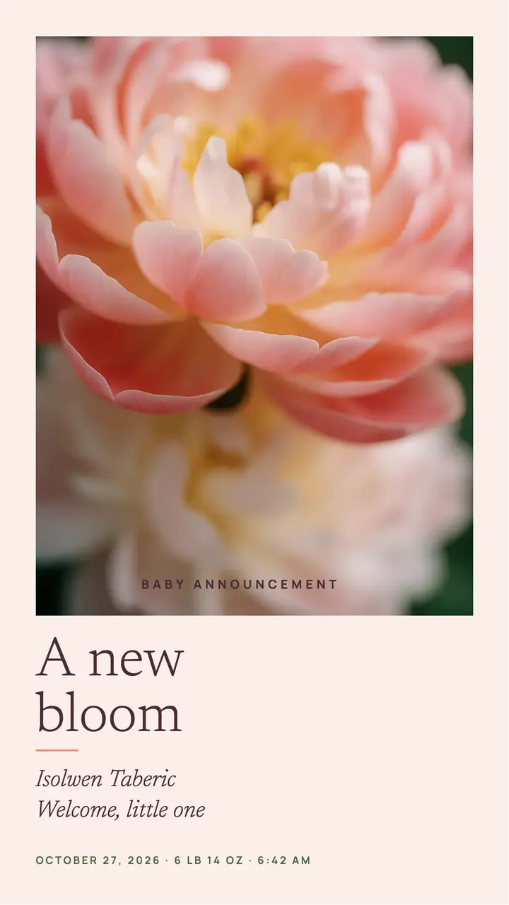 Peony baby announcement story, macro bloom template