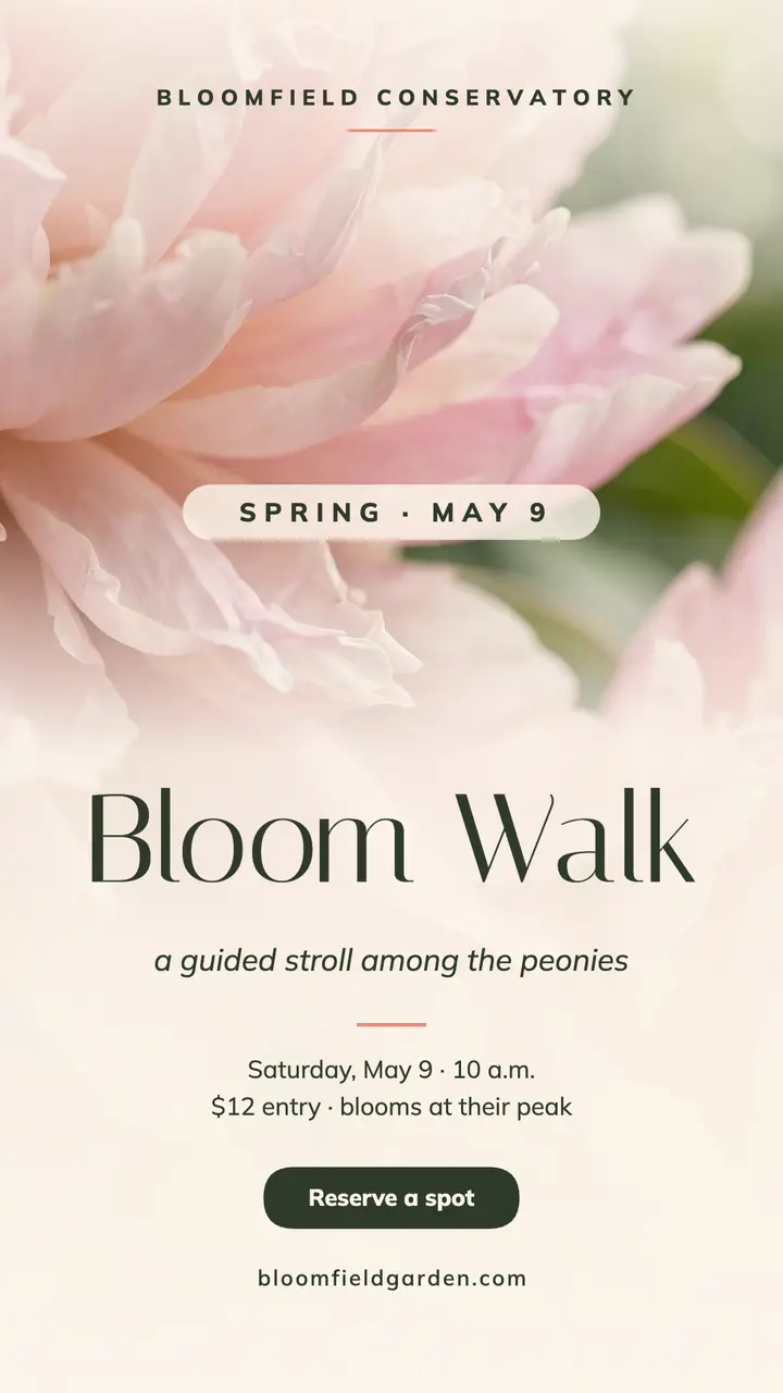 Bloomfield spring bloom walk story template