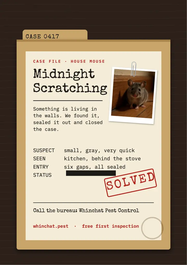Pest control service flyer, case file dossier template