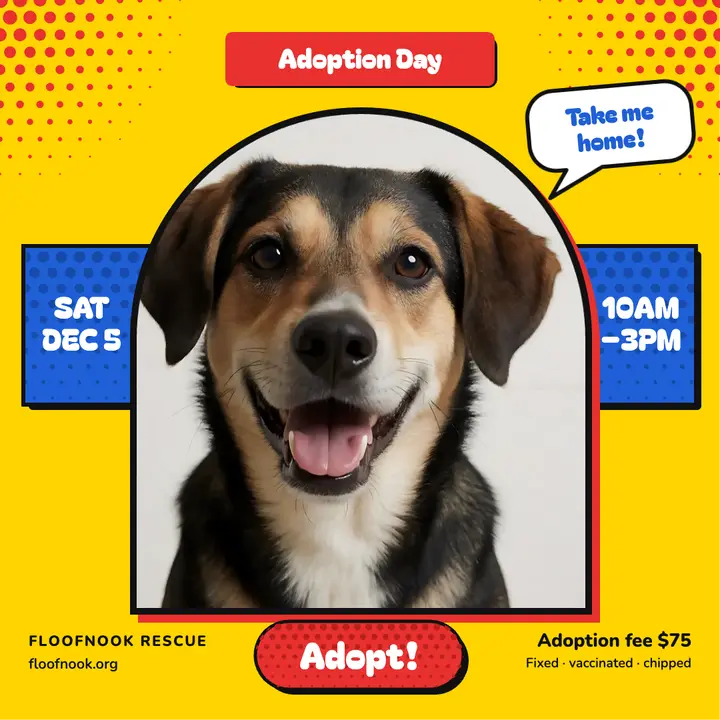 Floofnook Rescue adoption day pop art post template