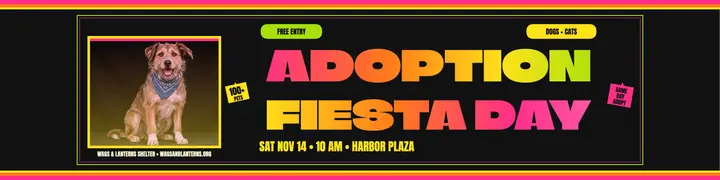 Wags and Lanterns adoption fiesta banner template