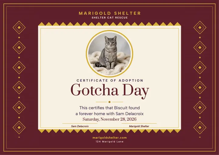 Biscuit Gotcha Day gold certificate template