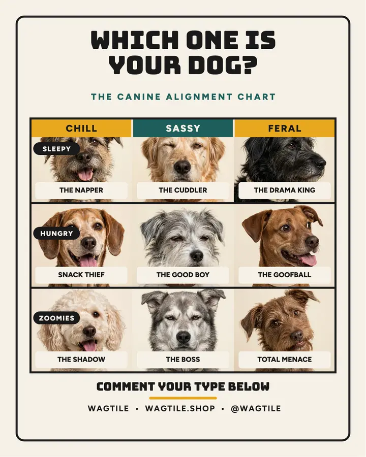 Wagtile which dog alignment chart template