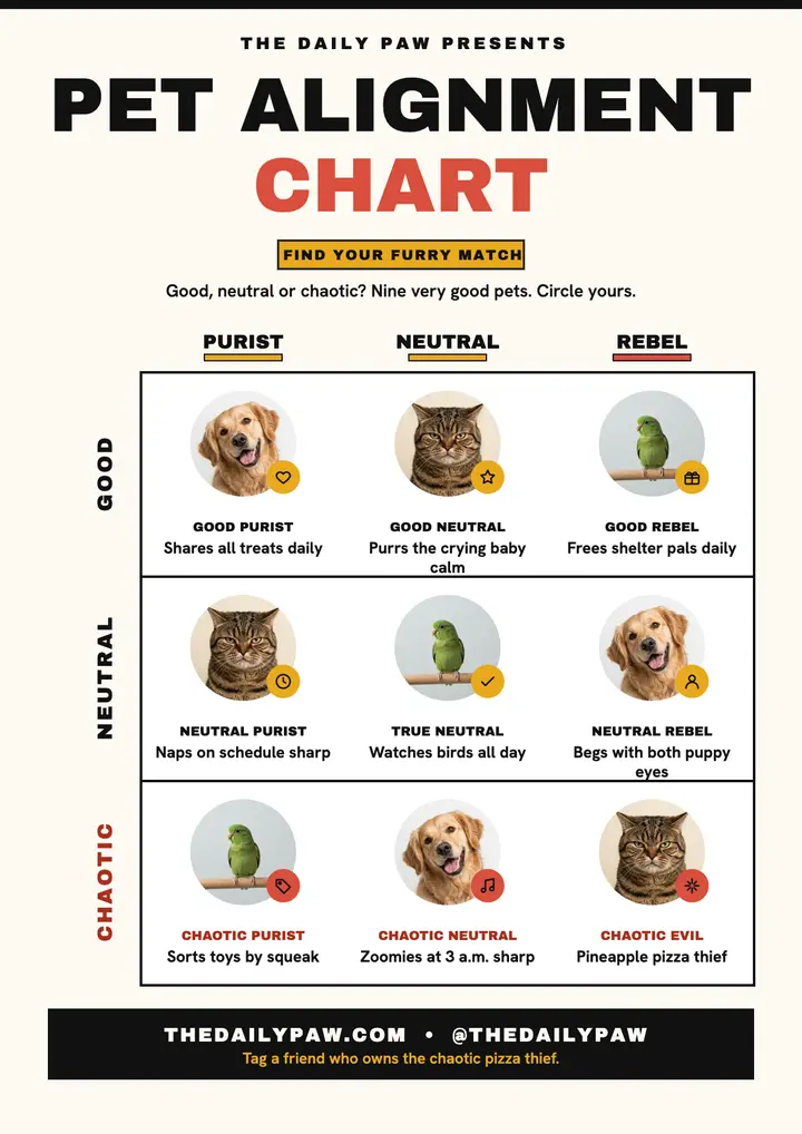 Pet alignment chart meme flyer template