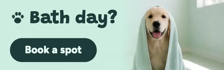 Pawpetal groomer bath day banner template