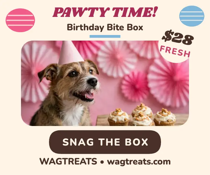 Wagtreats birthday bite box ad template