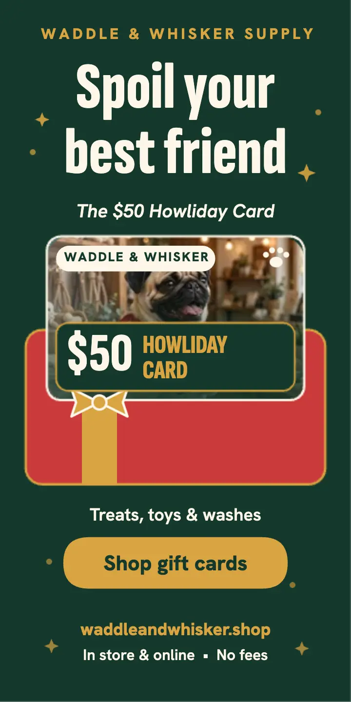 Waddle and Whisker holiday gift card half-page ad template
