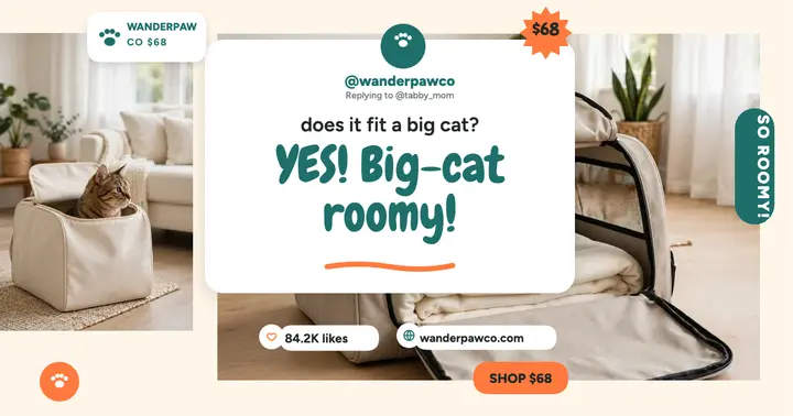 Wanderpaw carrier big-cat FAQ post template