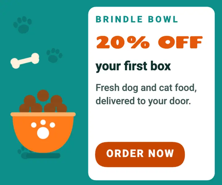Pet food box display ad template