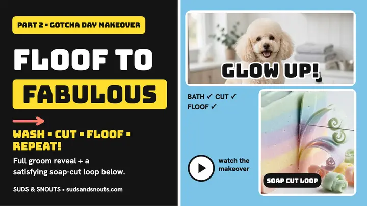 Suds and Snouts groom day thumbnail template