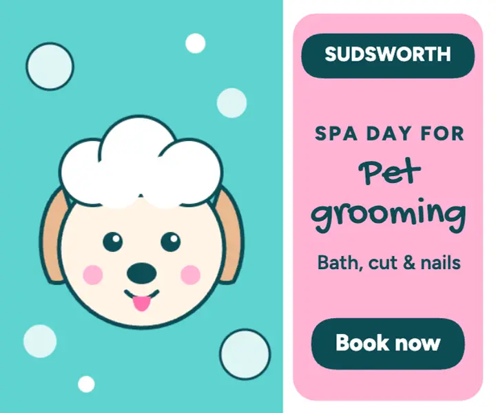 Pet grooming bubbles ad template