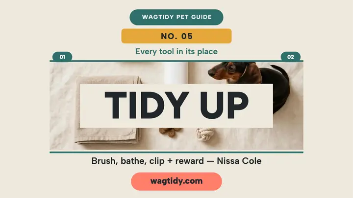 Wagtidy grooming kit thumbnail template