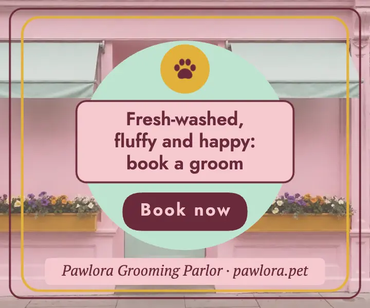 Pawlora Grooming Parlor storybook ad: pet grooming ad template