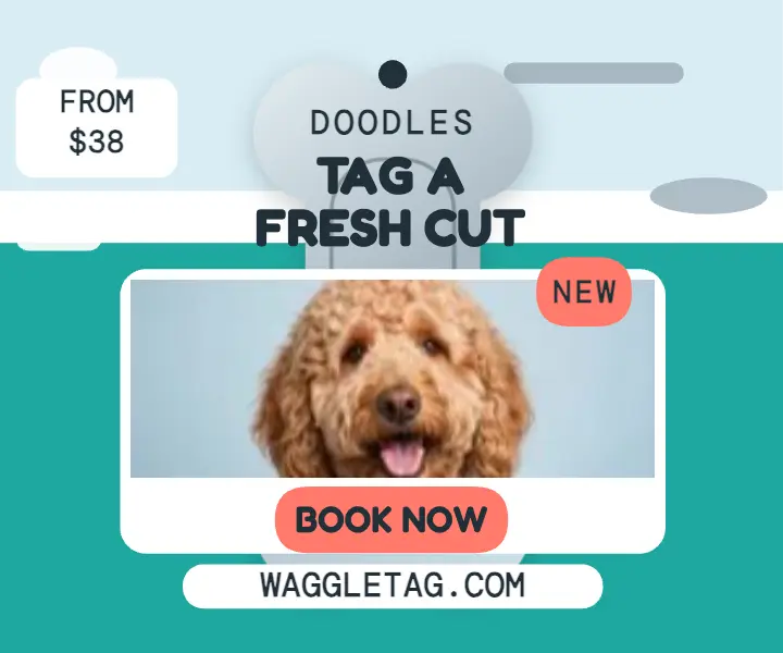 Waggletag grooming tag ad template