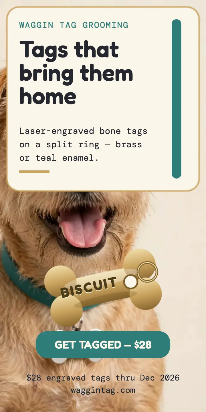 Waggin Tag bone collar tag ad template