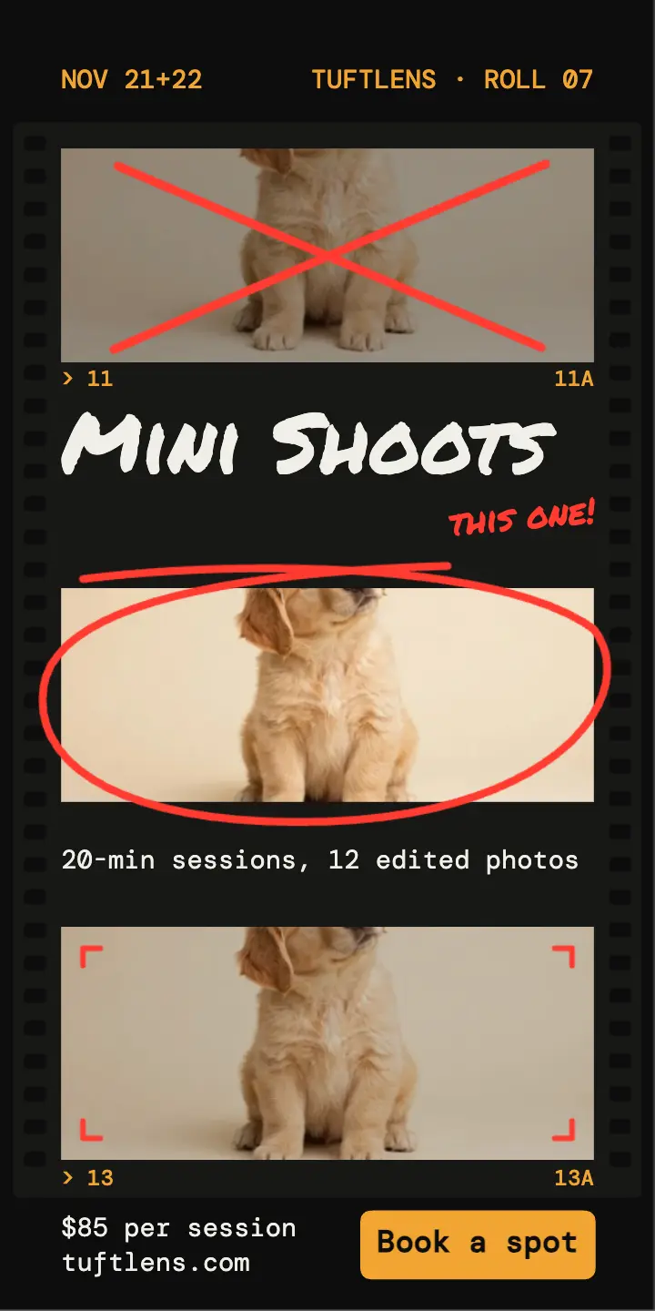 Puppy mini shoots contact sheet half-page ad template